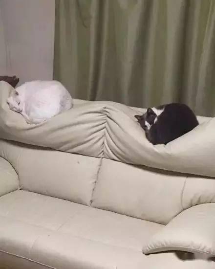 爆料沙发搞笑视频下载